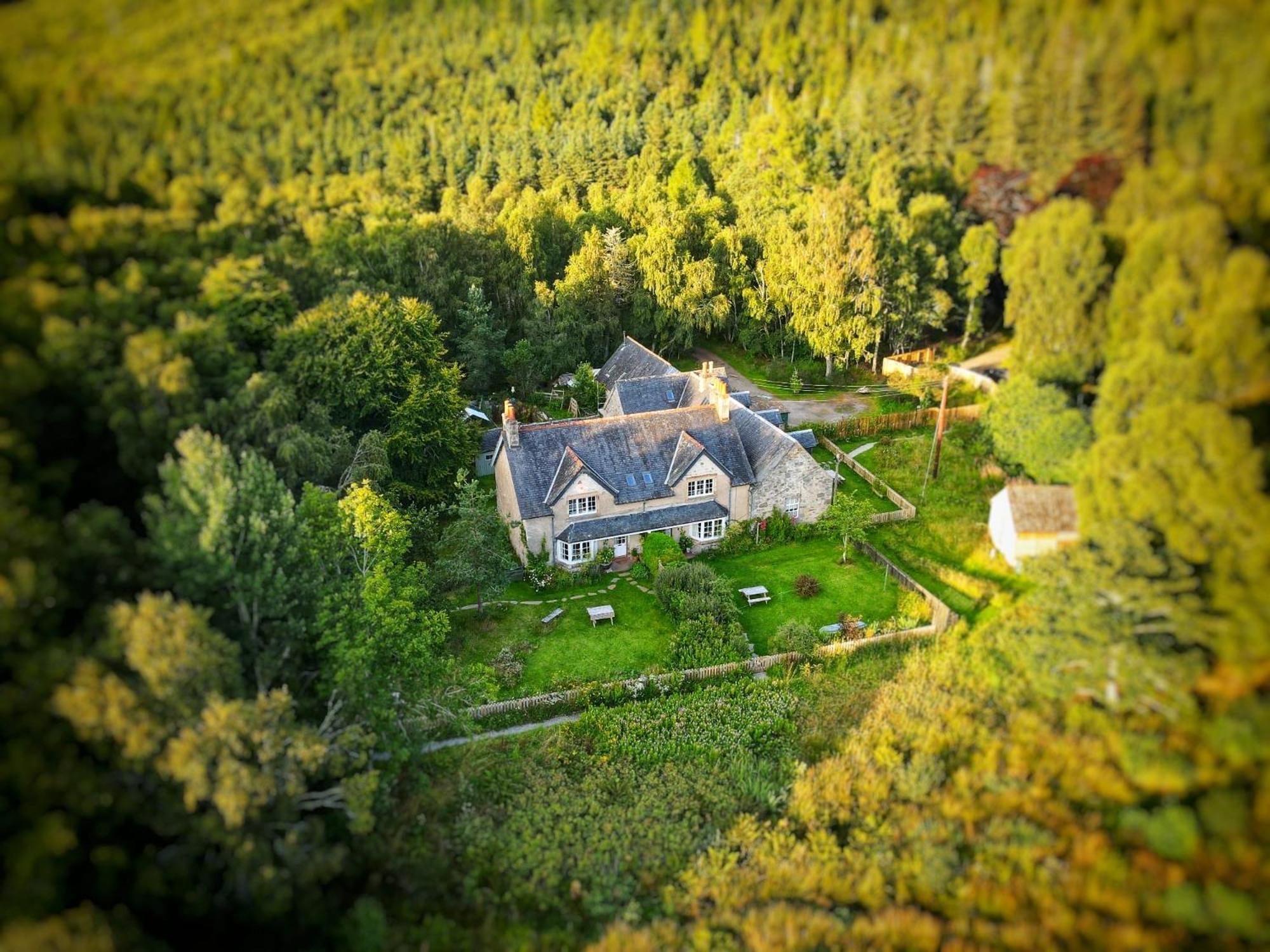Rowan Cottage, Crannachcottages Garve Εξωτερικό φωτογραφία